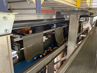 2017 elisam ellips optische uien sorteerlijn - afbeelding 15 van  43