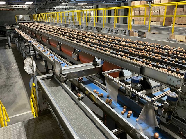 2017 elisam ellips optische uien sorteerlijn - afbeelding 16 van  43