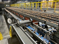 2017 elisam ellips optische uien sorteerlijn - afbeelding 16 van  43