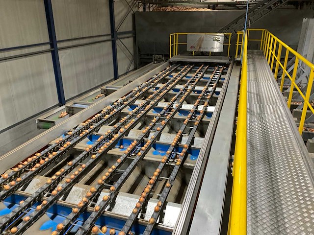 2017 elisam ellips optische uien sorteerlijn - afbeelding 17 van  43