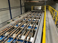 2017 elisam ellips optische uien sorteerlijn - afbeelding 17 van  43