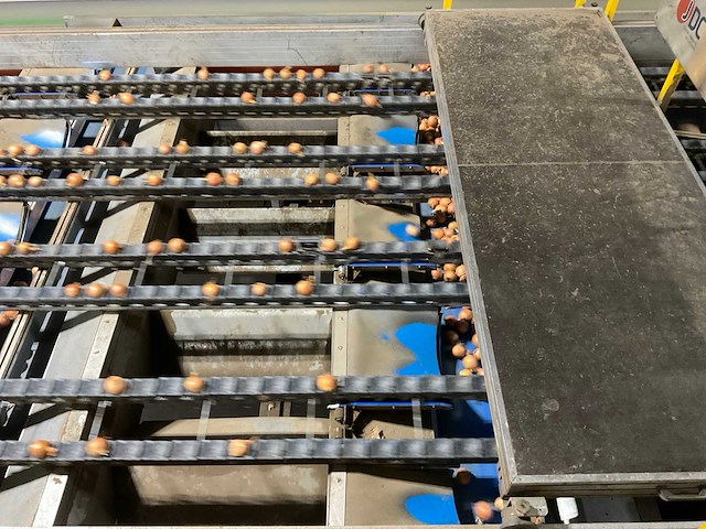 2017 elisam ellips optische uien sorteerlijn - afbeelding 18 van  43