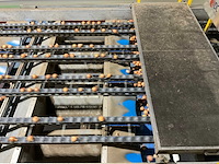 2017 elisam ellips optische uien sorteerlijn - afbeelding 18 van  43