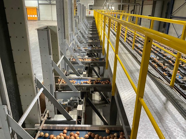 2017 elisam ellips optische uien sorteerlijn - afbeelding 20 van  43