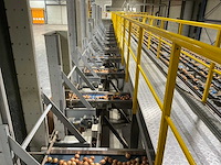 2017 elisam ellips optische uien sorteerlijn - afbeelding 20 van  43