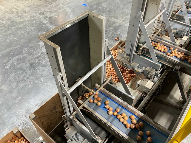 2017 elisam ellips optische uien sorteerlijn - afbeelding 21 van  43