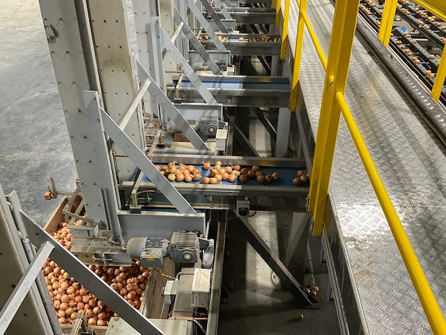 2017 elisam ellips optische uien sorteerlijn - afbeelding 22 van  43