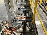 2017 elisam ellips optische uien sorteerlijn - afbeelding 22 van  43