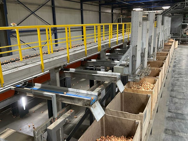 2017 elisam ellips optische uien sorteerlijn - afbeelding 24 van  43