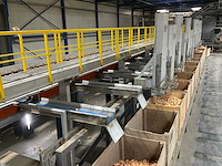 2017 elisam ellips optische uien sorteerlijn - afbeelding 24 van  43