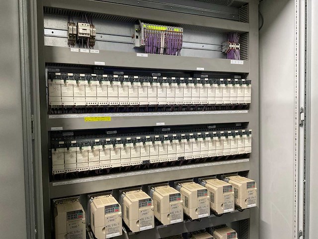 2017 elisam ellips optische uien sorteerlijn - afbeelding 38 van  43