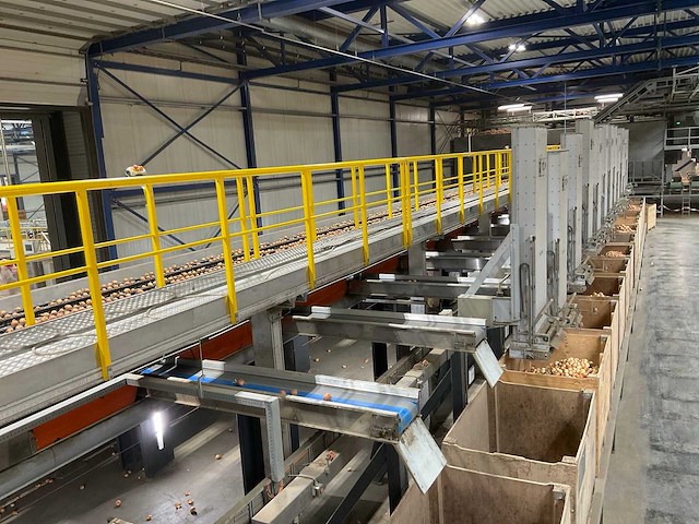 2017 elisam ellips optische uien sorteerlijn - afbeelding 39 van  43