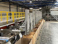 2017 elisam ellips optische uien sorteerlijn - afbeelding 40 van  43