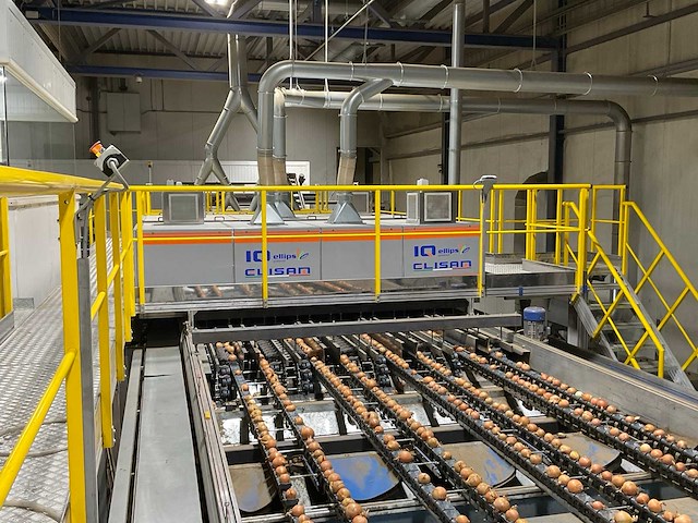 2017 elisam ellips optische uien sorteerlijn - afbeelding 41 van  43