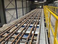 2017 elisam ellips optische uien sorteerlijn - afbeelding 42 van  43