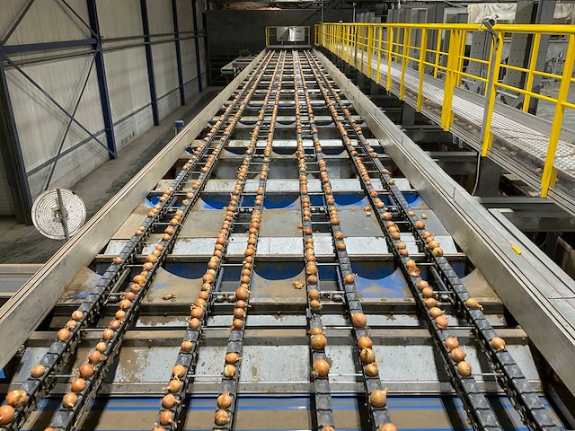 2017 elisam ellips optische uien sorteerlijn - afbeelding 43 van  43