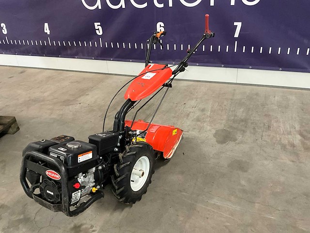 2017 goldoni twist 5-tw30 / fresta 19 grondfrees - afbeelding 1 van  10