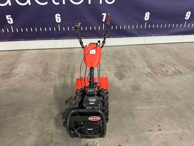 2017 goldoni twist 5-tw30 / fresta 19 grondfrees - afbeelding 3 van  10