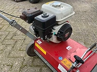 2017 limpar v50 verticuteermachine - afbeelding 11 van  11