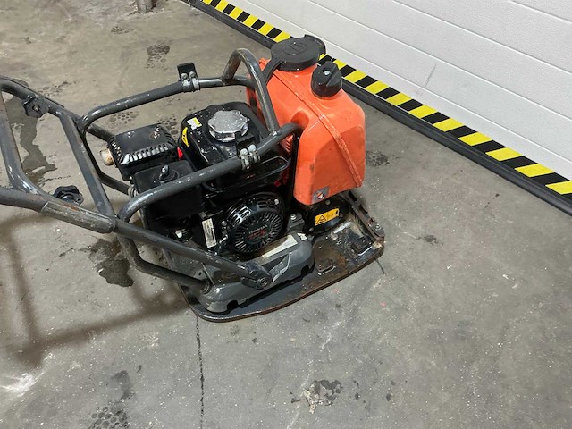2017 mikasa trilplaat - afbeelding 7 van  7