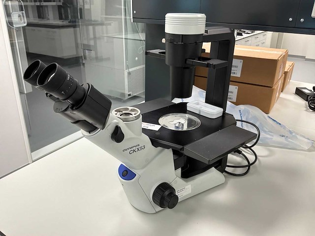 2017 olympus ckx53sf celcultuurmicroscoop - afbeelding 1 van  6