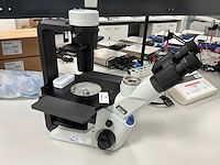 2017 olympus ckx53sf celcultuurmicroscoop - afbeelding 2 van  6