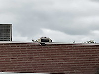 2017 vhi koelcel - afbeelding 13 van  14