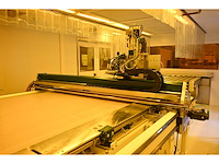 2017 vieweg uv bond unit / main seal unit inclusief benteler uitvoer rollenbaan (c) - afbeelding 12 van  24