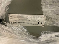 2017 youngsunpack mh-fj-max dozensluitmachine - afbeelding 5 van  11
