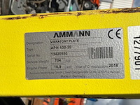 2018 ammann aph 100-20 trilplaat - afbeelding 4 van  12