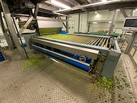 2018 kerian sizer x72/87x3035 sorteermachine