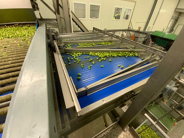 2018 kerian sizer x72/87x3035 sorteermachine - afbeelding 29 van  37