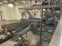 2018 kerian sizer x72/87x3035 sorteermachine - afbeelding 33 van  37