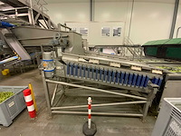 2018 kerian sizer x72/87x3035 sorteermachine - afbeelding 35 van  37