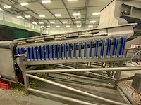 2018 kerian sizer x72/87x3035 sorteermachine - afbeelding 36 van  37