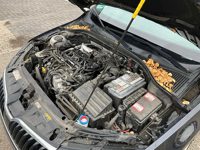 2018 skoda octavia combi 1.6 tdi grt active personenauto tx-801-t - afbeelding 28 van  43
