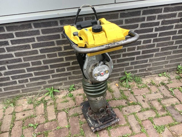 2018 wacker rammer bs60-2 trilstamper - afbeelding 2 van  2