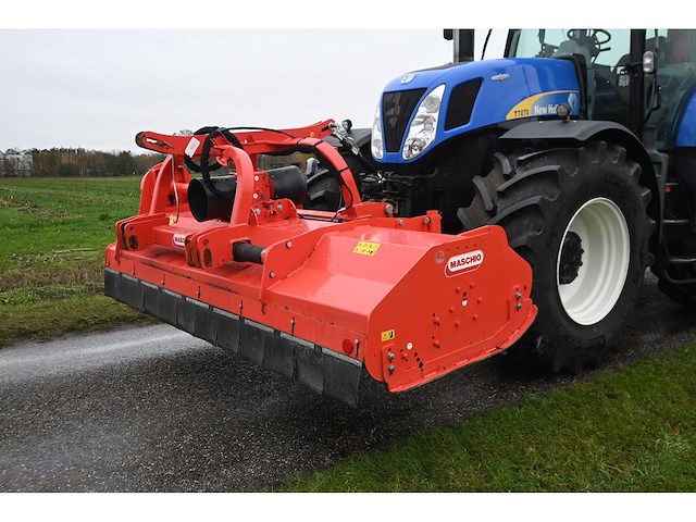 2019 - maschio gaspardo - bufalo 280 - klepelmaaier - afbeelding 1 van  11