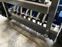 2019 apv ps 500 m2 d bedden vlakker met strooier - afbeelding 7 van  19