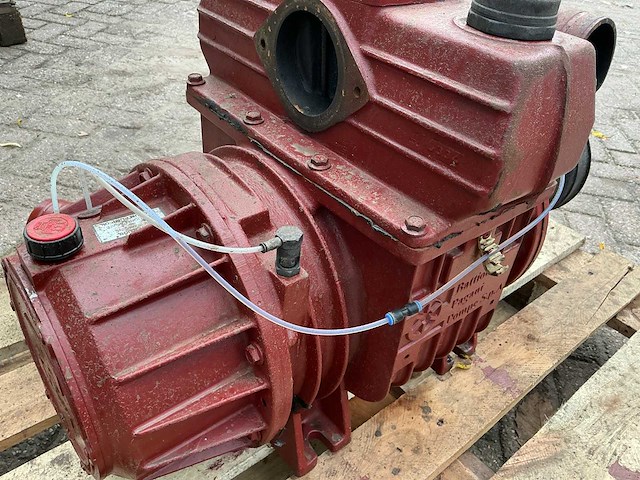 2019 battioni pagani star 72 dv la sx d100 std vacuümpomp - afbeelding 3 van  16