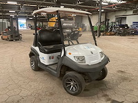 2019 bensel cars bsn2 golfkar - afbeelding 8 van  13