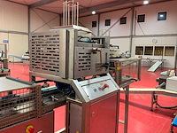2019 burg metaal dsl-1 rvs bakjes vul- en dekselsluit verpakkingslijn - afbeelding 14 van  17