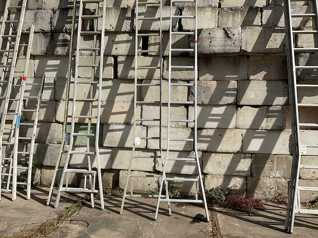 2019 dirks ladder (2x) - afbeelding 1 van  5