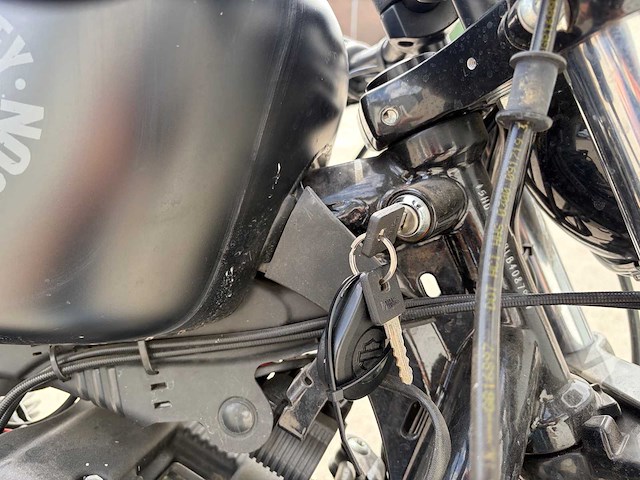 2019 harley davidson chopper xl 883n sportst iron - afbeelding 8 van  37