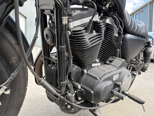 2019 harley davidson chopper xl 883n sportst iron - afbeelding 16 van  37