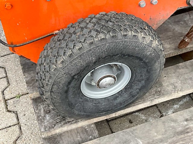 2019 kersten weedo ii onkruidborstelmachine - afbeelding 4 van  14