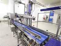 2019 lantech cs-1000 dozensluitlijn - afbeelding 11 van  13