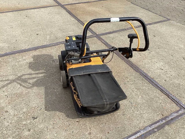 2019 mtd svp 40 g verticuteermachine - afbeelding 4 van  6