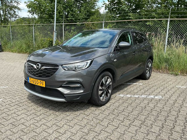 2019 opel grandland x 1.2 turbo bus. ex. personenauto - afbeelding 1 van  19