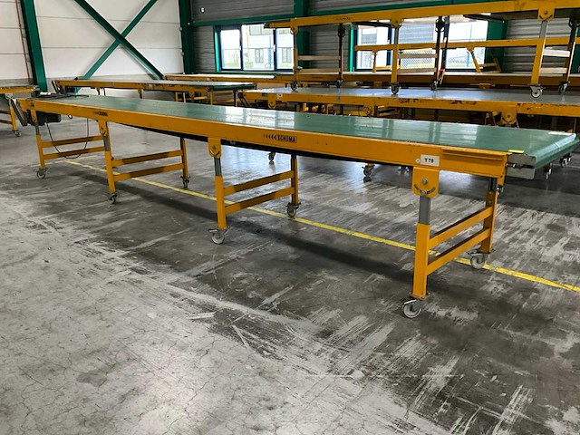 2019 schuma eu-ø100 6000/800/gl transportband - afbeelding 1 van  4